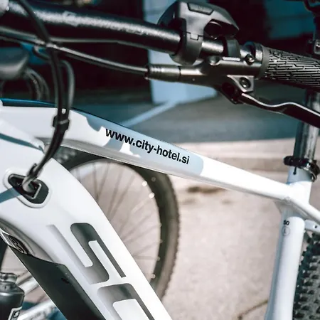 Hotel City Hotel Krsko Krško