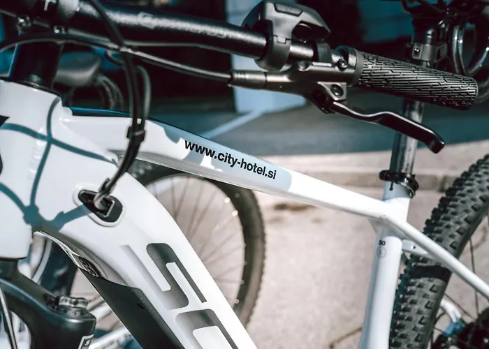 Отель City Hotel Krsko Кршко